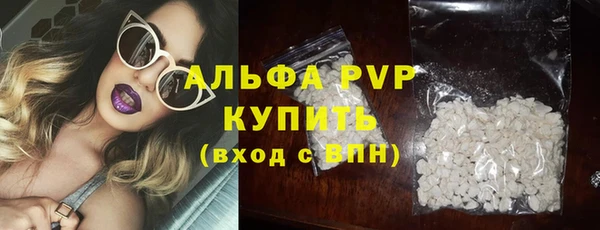 прущие грибы Новодвинск