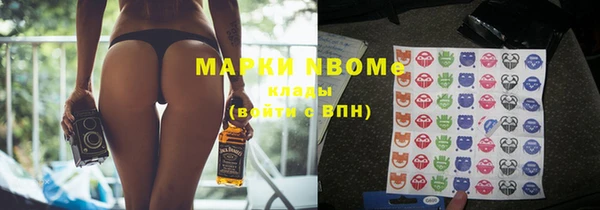 прущие грибы Новодвинск