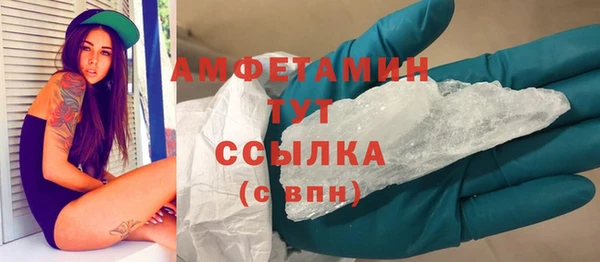 прущие грибы Новодвинск