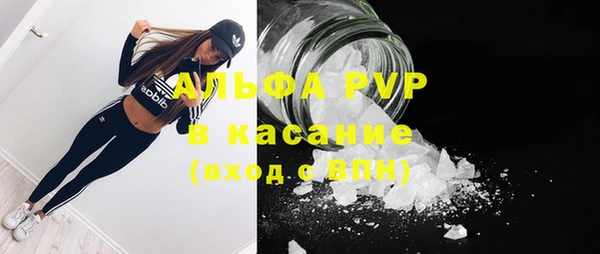 прущие грибы Новодвинск