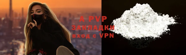 индика Нягань