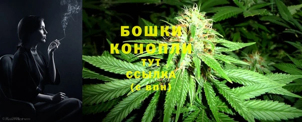 спиды Шенкурск