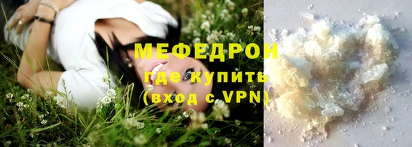 индика Нягань