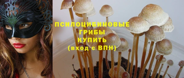 ALPHA-PVP Нязепетровск