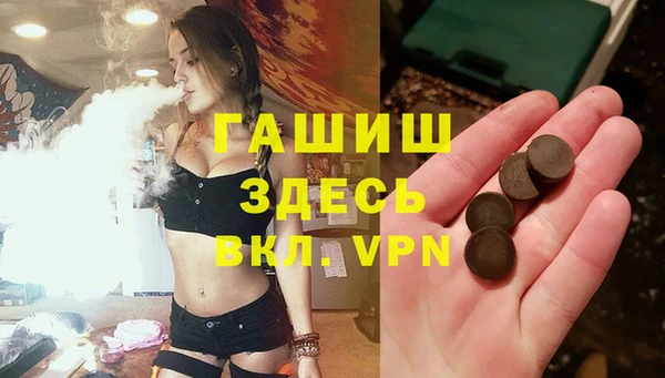 индика Нягань