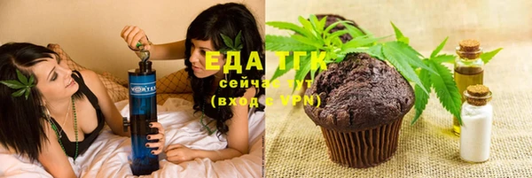 прущие грибы Новодвинск