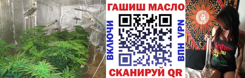 купить   Шумерля  Дистиллят ТГК гашишное масло 