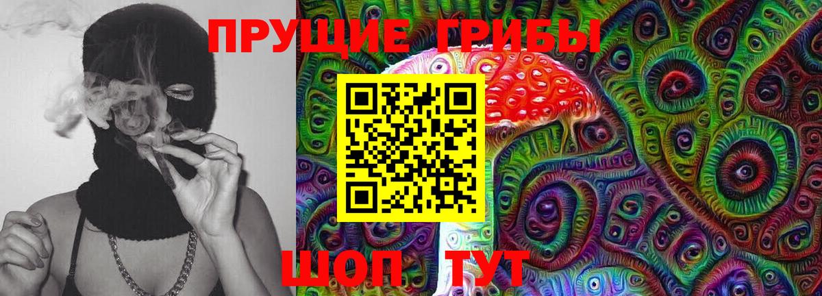 Галлюциногенные грибы Psilocybe  Вход с VPN  Шумерля 
