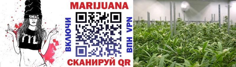 Конопля планчик как найти Шумерля