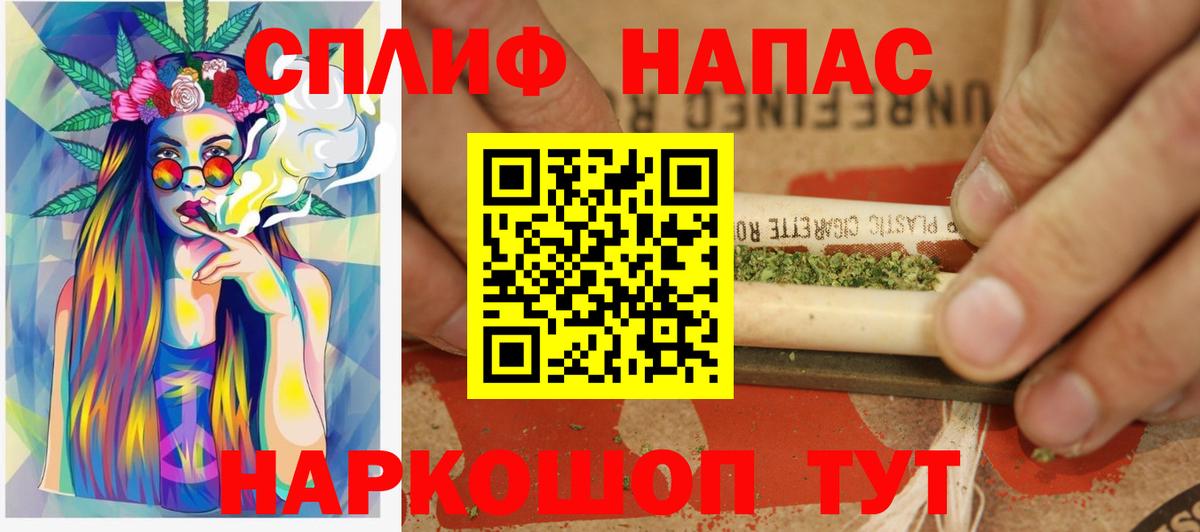 Канабис планчик Шумерля